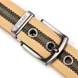 Texhide Stylish Casual Belt For Men
